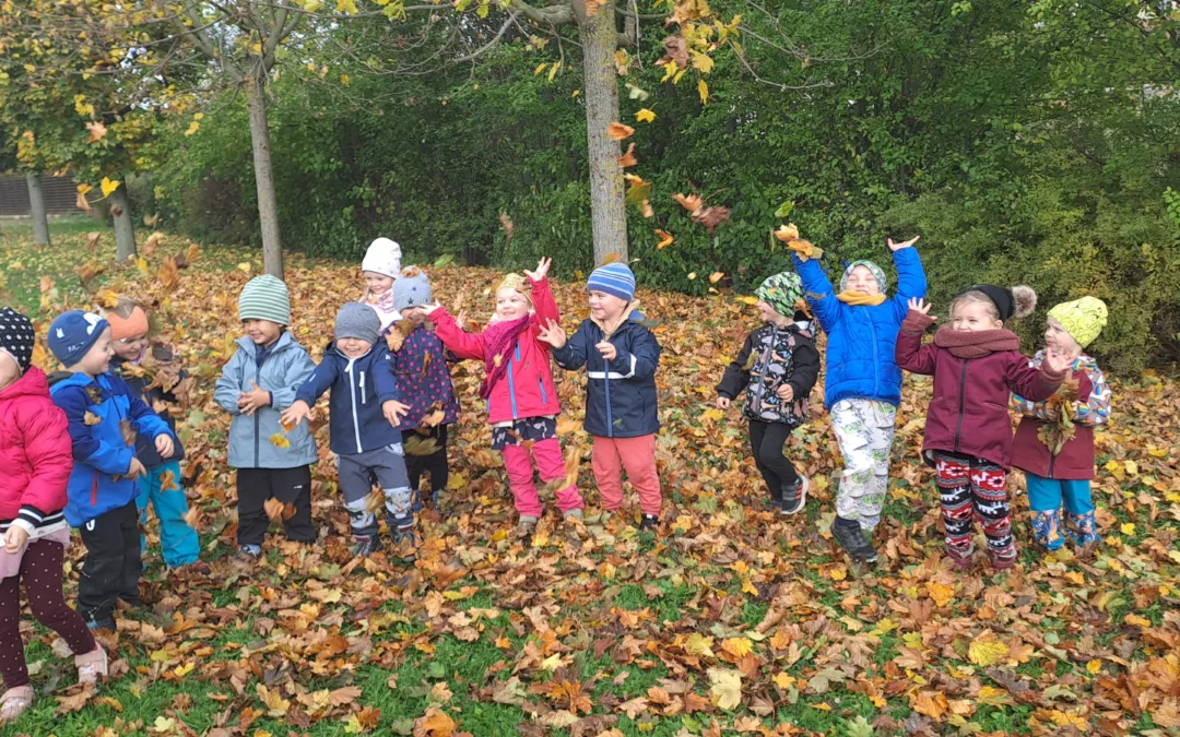 Tematický blok – Stromy