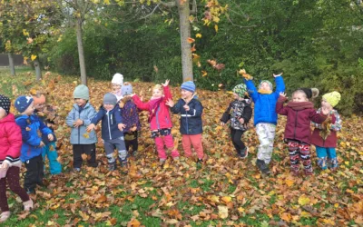 Tematický blok – Stromy